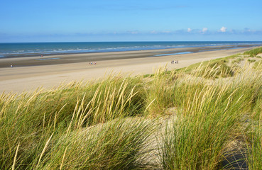 Fototapeta na wymiar Dune de Perroquet in Bray Dunes France