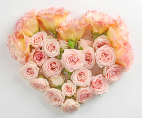 Heart shaped roses on white background