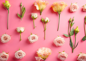 Fresh roses on pink background