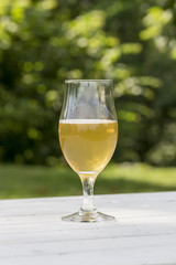 mug of beer on white table and green background