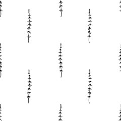 Vector seamless pattern with ink hand drawn herbs. Herbal sketch background.
