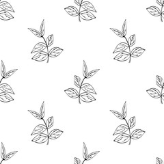 Vector seamless pattern with hand drawn herbs. Botanical background in black and white colours. Isolated.