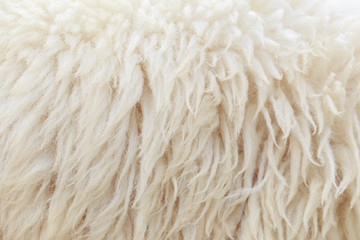 Soft focus wool or fleece for background