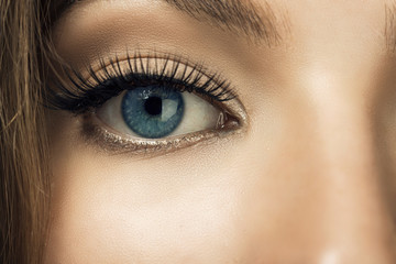 Naklejka premium Macro image of human eye. Beautiful eye. Younge woman.