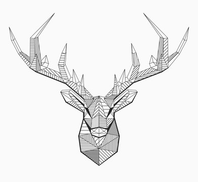 Vector low poly line art. Geometrical  reindeer illustration. Geometric zentangle animal. Ornamental stag head. 