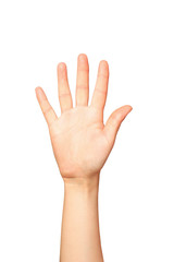 Naklejka premium Man hand showing the five fingers isolated on a white background