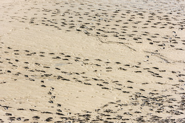 Human footprints on the sand of the sea bottom
