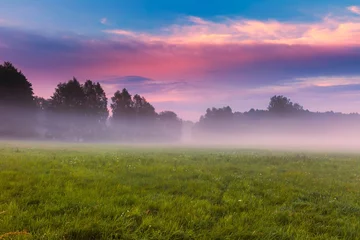 Fototapeten Wilde neblige Wiesenlandschaft © milosz_g