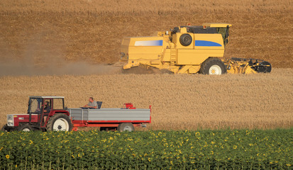 Fototapeta premium Tractor and harvester on field in the Alps