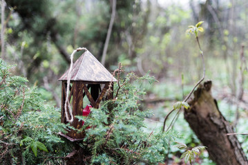 lamp with red candle inside on a pine branch