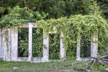 building ruins and vegetation