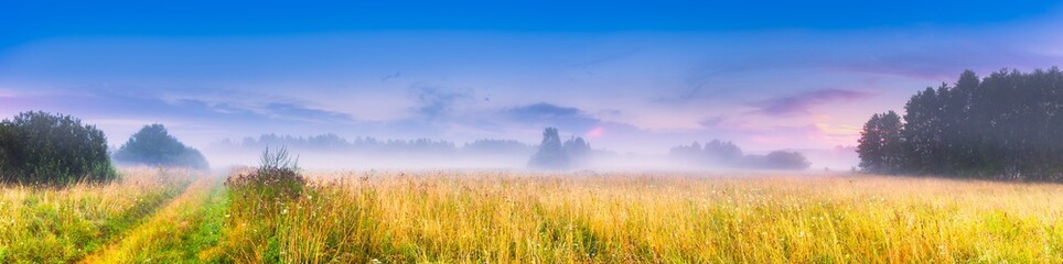 Wild foggy meadow landscape - 117214203