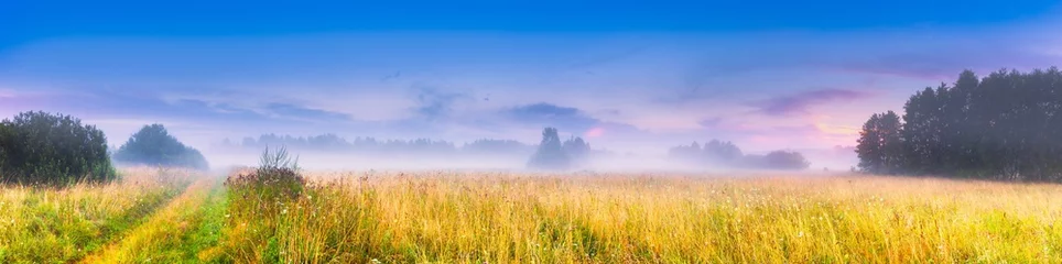 Poster Im Rahmen Wild foggy meadow landscape © milosz_g