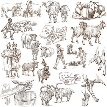 Cheese.Agriculture.Life of a farmer.Agricultural set.Collection of hand drawing illustrations.Pack of full sized hand drawn illustrations.Set of freehand sketches.Line art technique.Drawing on white.
