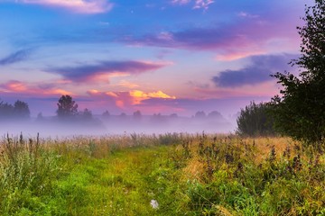 Wild foggy meadow landscape