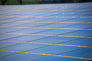 Photovoltaik Solarzellen