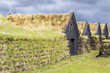 Typical houses iceland. 
With grass covered roof to protect them from the cold. It is also used for livestock.