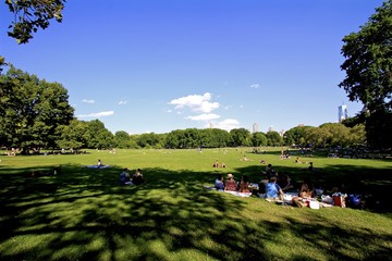 Fototapeta na wymiar View of Central Park - People enjoying a picnic