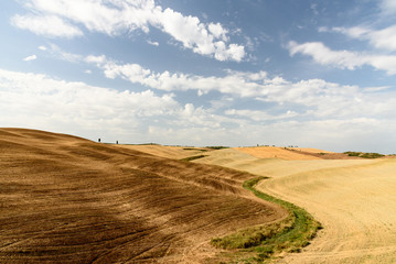 Tuscan landscape during summer with hills and trees at the horizon