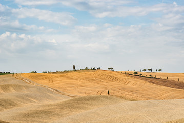 Tuscan landscape during summer with hills and trees at the horizon