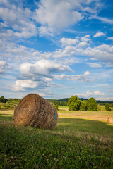 Freshly rolled hay bale under cheerful summer sky portrait