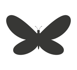 beautiful butterfly silhoeutte icon