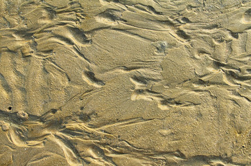 Abstract background of surface sand on the beach during sunset with a beautiful golden light