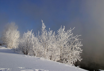 winter morning on the river