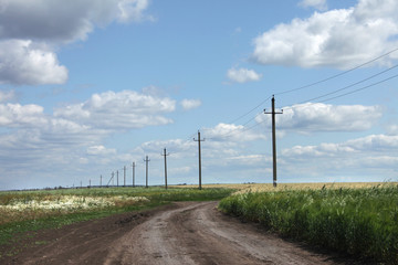 The road through the field
