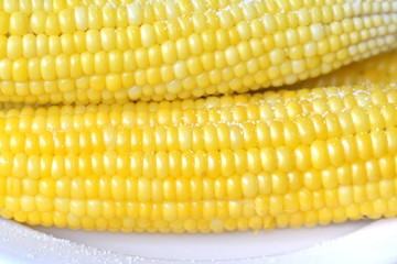 Boiled corn on a plate