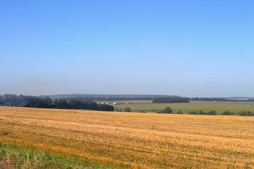 Meadowland field