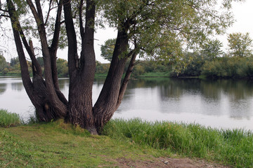 First days of autumn