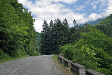 Fototapeta premium mountain road