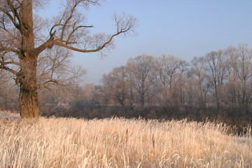 The arrival of winter