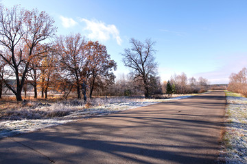 autumn walk