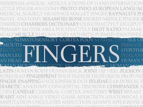fingers