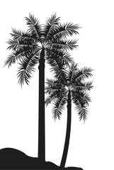 Fototapeta na wymiar flat design palm tree icon vector illustration