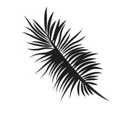 Fototapeta premium flat design palm tree leaf icon vector illustration