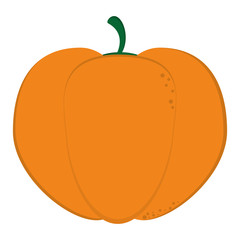 flat design whole pumpkin icon vector illustration