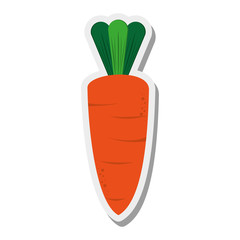 flat design whole carrot icon vector illustration