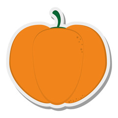 flat design whole pumpkin icon vector illustration