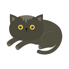 Cute lying gray cartoon cat with moustache whisker and yellow eyes. Funny character. White background. Isolated. Flat design.