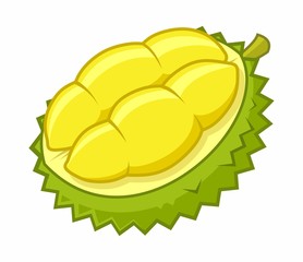 Durian Cartoon Vector Illustration