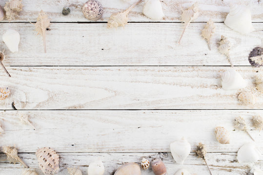 Sea Shells Background Vintage With Free Text Space, Flat Lay