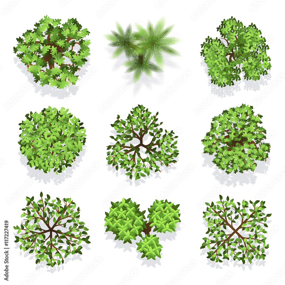 Poster trees top view vector set for landscape design and map