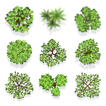 Trees top view vector set for landscape design and map