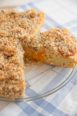Aprikosen Streusel Kuchen 