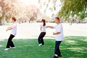 People practicing thai chi in park