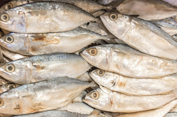 Dried mackerel , dried or salted fish. Selective focus.