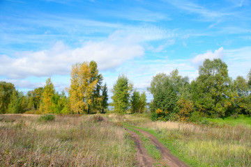 Indian summer in the meadows